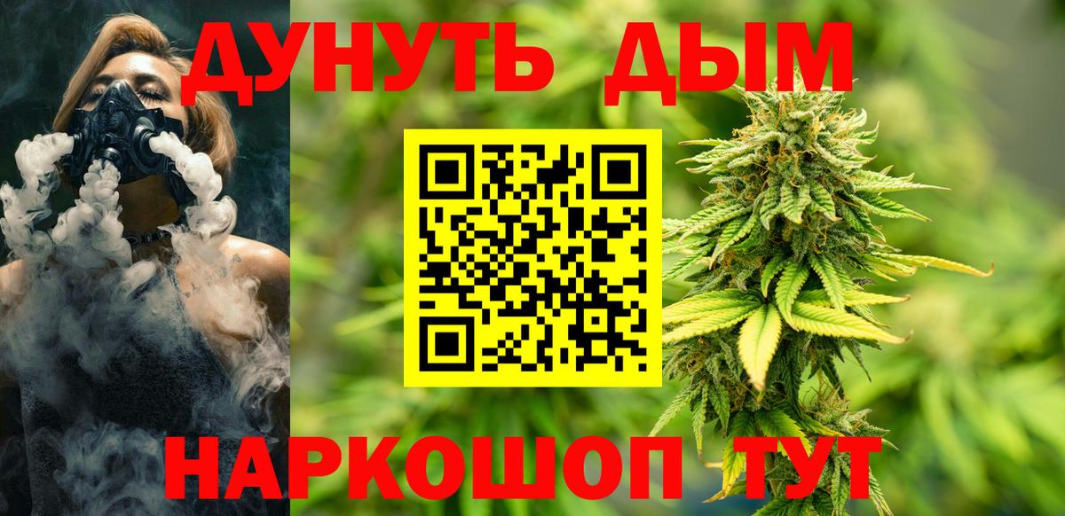 Канабис сатива Йошкар-Ола
